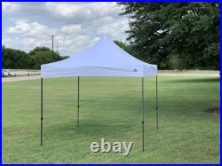 10'x10' Pop Up Tent Canopy w Wheel Bag & Sand Bags 12 Cool Colors D Model