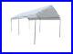 12-X-20-Extreme-Duty-22mil-PVC-Valance-Replacement-Canopy-Tarp-Carport-Cover-01-sl