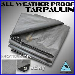 30x40ft HD Canopy Poly Tarp 14mil Tarpaulin Reinforced Tent Boat Cover, Silver