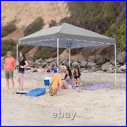 CROWN SHADES 10x10 Pop up Canopy Instant Commercial Canopy with 1 Removable S