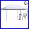 Eurmax-Professional-EZ-Pop-Up-10x20-Canopy-Patio-Party-Shade-Tent-withRoller-Bag-01-vd