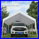 Peaktop-Outdoor-12x20ft-White-Carport-Car-Shelter-Heavy-Duty-Canopy-Shed-Garage-01-wwis